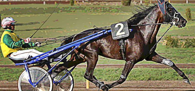 Elabet scommesse